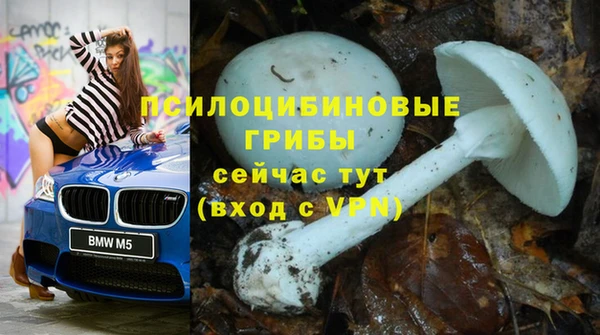 мескалин Беломорск