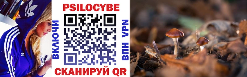 Псилоцибиновые грибы Psilocybine cubensis  где продают наркотики  Вуктыл 